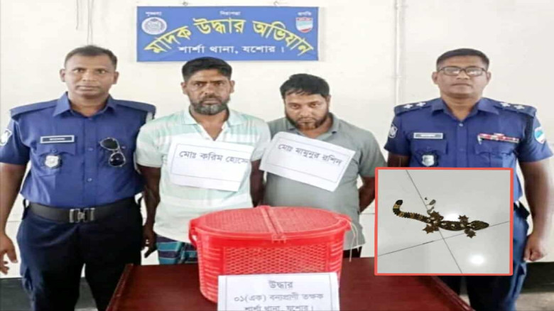 যশোরের শার্শা থানায় তক্ষক সহ দুইজন আটক