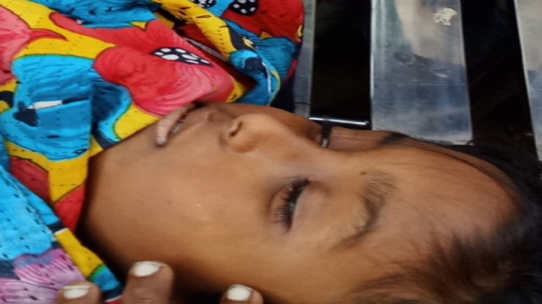 যশোরে সাপের কামড়ে  কওমি মাদ্রাসা শিক্ষার্থীর মৃত্যু