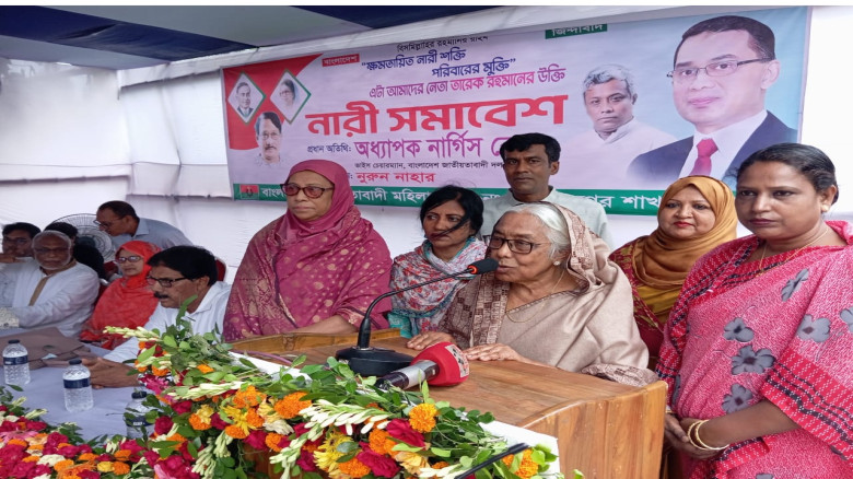 একটি চক্র পরিকল্পিতভাবে নির্বাচন নিয়ে চক্রান্ত করছে, অধ্যাপক নার্গিস বেগম