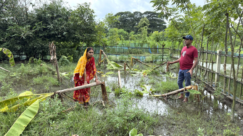 রাতের আঁধারে শিক্ষক প্রদীপের কলাবাগান উজাড়: ৪০ হাজার টাকার ক্ষতি!