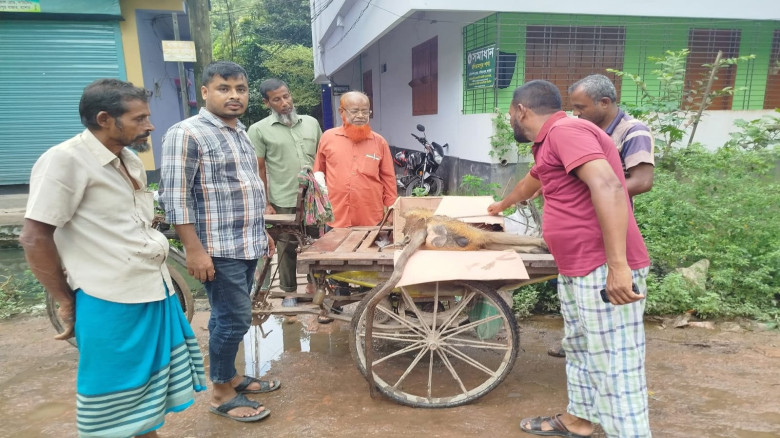 রাস্তার পাশ থেকে মৃতপ্রায় হনুমান উদ্ধার, পাঠানো হলো চিকিৎসায়