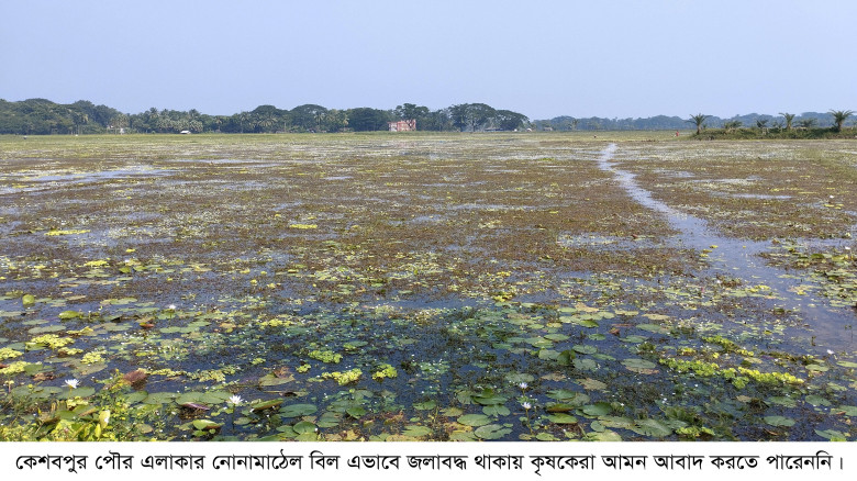 কেশবপুরে ভবদহের প্রভাবে ১৮ হাজার বিঘা জমি অনাবাদি...