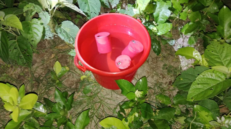 যশোরের শার্শায় পরিত্যক্ত অবস্থায় ককটেল উদ্ধার