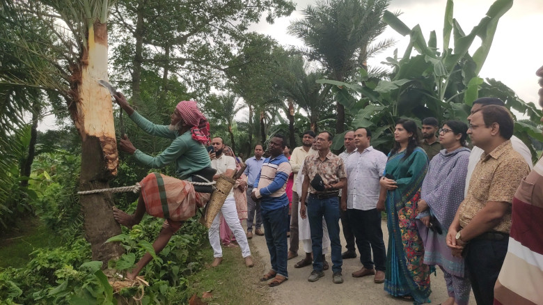 চৌগাছায় জিআই পণ্য খেজুরগুড় সংগ্রহে গাছ কাটা'র উদ্বোধন