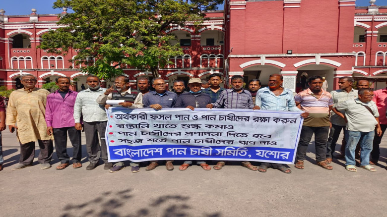 যশোরে ১০ দফা দাবিতে পান চাষীদের মিছিল মানববন্ধন ও স্মারকলিপি প্রদান