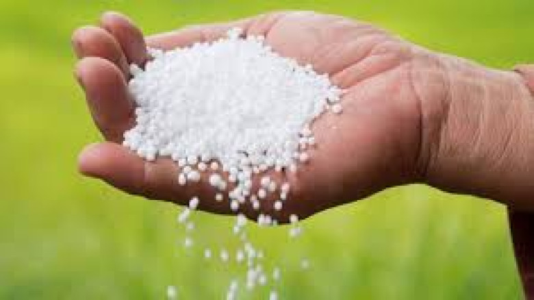 বিএডিসির সার চুরির মামলায় বঙ্গ ট্রেডার্সের তিন কর্মকর্তর রিমান্ডে