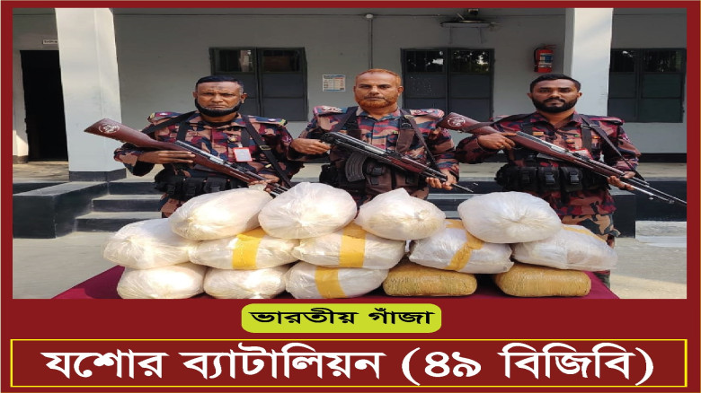 বেনাপোল সিমান্ত থেকে ৪১ কেজি গাঁজা উদ্ধার