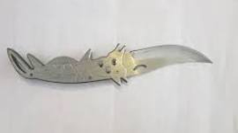 যশোরে চিহ্নিতসন্ত্রাসী গোন্ডেল ফিরোজ বার্মিজ চাকু ও হাতুড়িসহ আটক