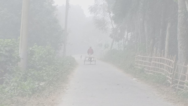 ৯ ডিগ্রিতে নামল চুয়াডাঙ্গার তাপমাত্রা, ঘন কুয়াশায় বিপর্যস্ত জনজীবন