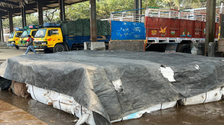 ছবির ক্যাপশন: 