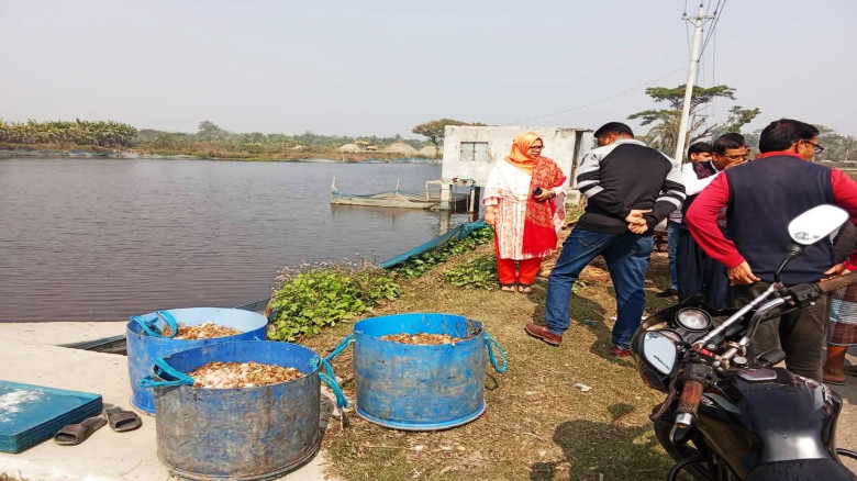 কেশবপুরে মাছের খাদ্য হিসেবে মুরগির বিষ্ঠা ব্যবহার করায় ৫০ হাজার টাকা জরিমানা