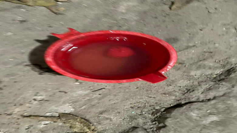 অভয়নগরে ভোর রাতে ককটেল বিস্ফোরণ