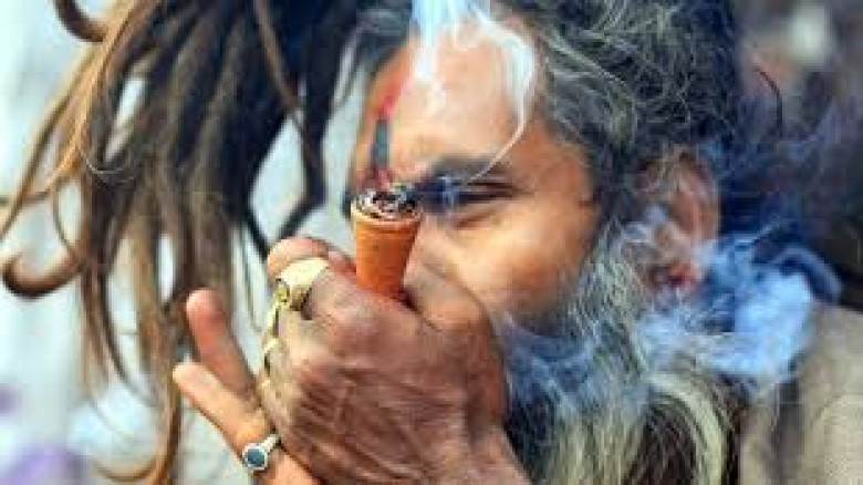 যশোরে ২ কেজি গাঁজাসহ মাদক ব্যবসায়ী শাহানার আটক, ছেলে পলাতক