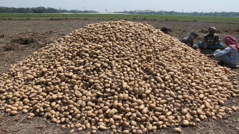 ভিয়েতনামে আলু পাঠাতে পারবেন বাংলাদেশি রপ্তানিকারকরা