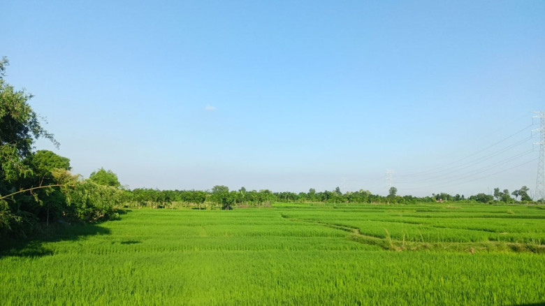 রোববার থেকে হামের টিকা দেবে সরকার