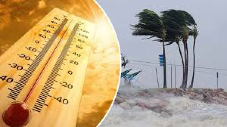 ছবির ক্যাপশন: 