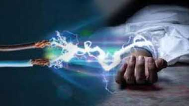 কেশবপুরে বিদ্যুৎস্পৃষ্টে পোল্ট্রি শ্রমিক নিহত, আহত...