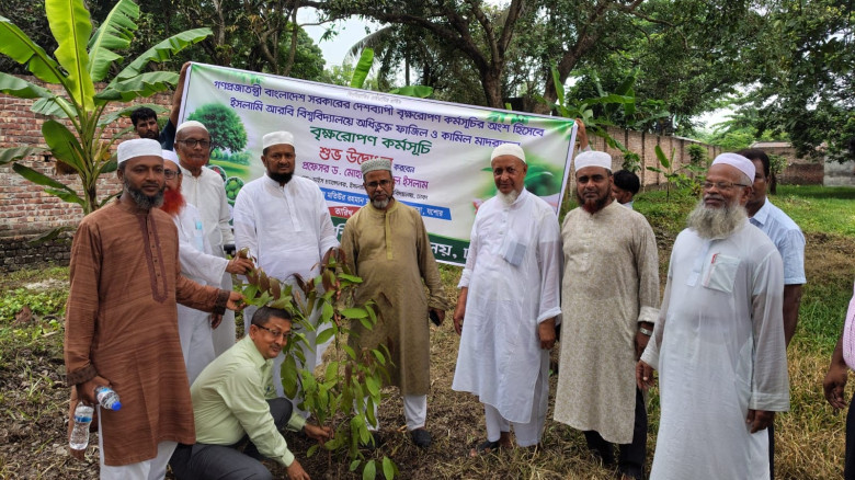 যশোরে ইসলামি আরবি বিশ্ববিদ্যালয়ের দেশব্যাপী বৃক্ষরোপণ কর্মসূচির শুভ উদ্বোধন