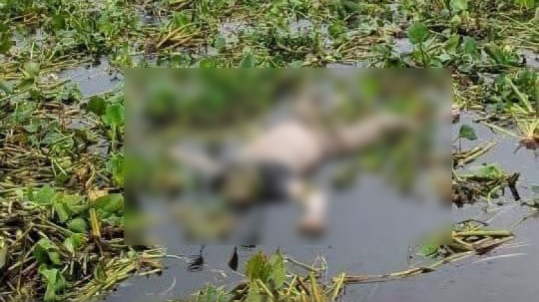 অভয়নগরে ভৈরব নদ থেকে অজ্ঞাতপরিচয় যুবকের অর্ধগলিত ...